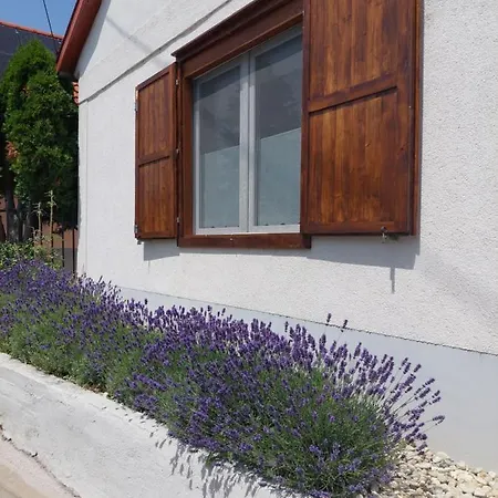 Maison d'hôtes Feher Szeder Csopak